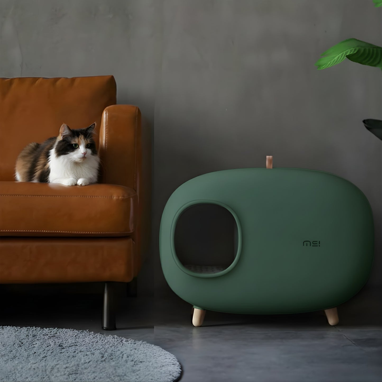 Minimalist Enclosed Cat Litter Box